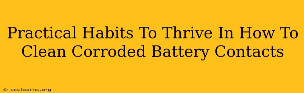 Practical Habits To Thrive In How To Clean Corroded Battery Contacts