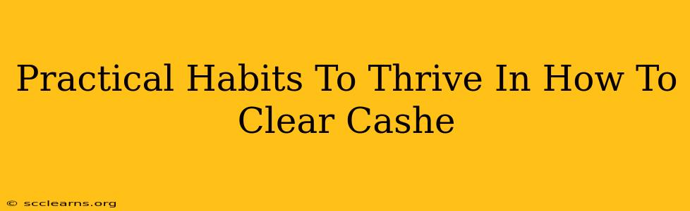 Practical Habits To Thrive In How To Clear Cashe