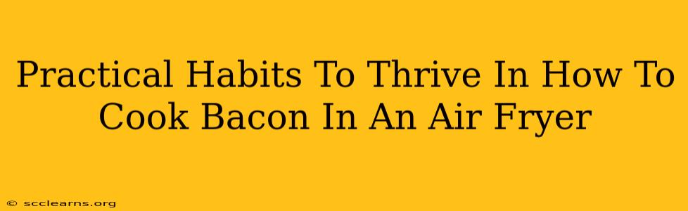 Practical Habits To Thrive In How To Cook Bacon In An Air Fryer