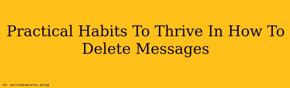 Practical Habits To Thrive In How To Delete Messages