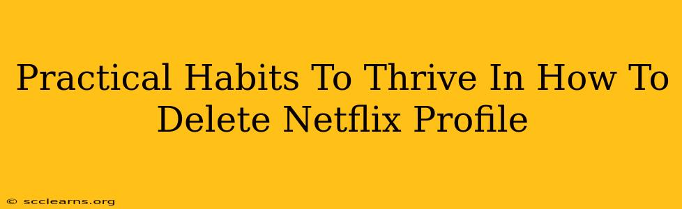 Practical Habits To Thrive In How To Delete Netflix Profile