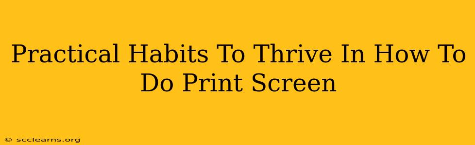 Practical Habits To Thrive In How To Do Print Screen