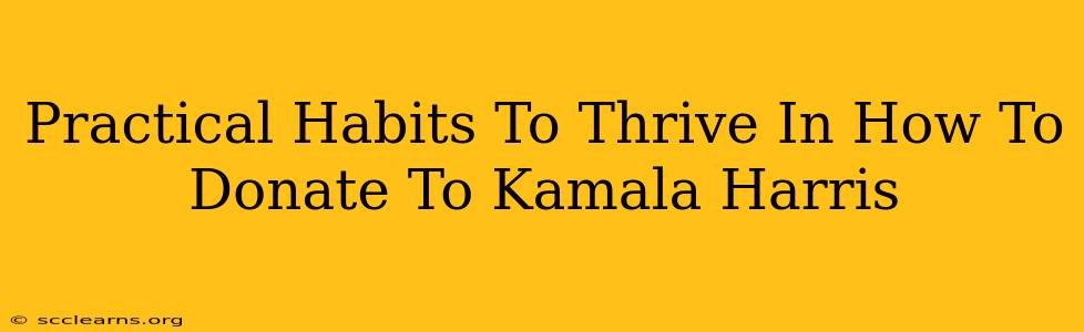 Practical Habits To Thrive In How To Donate To Kamala Harris