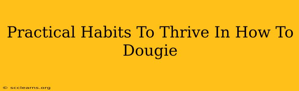 Practical Habits To Thrive In How To Dougie