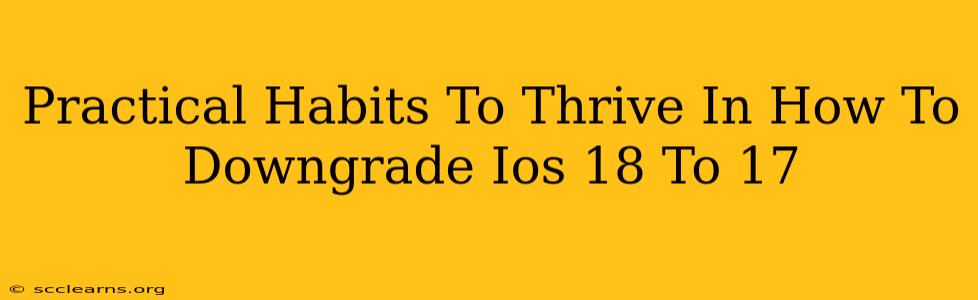 Practical Habits To Thrive In How To Downgrade Ios 18 To 17