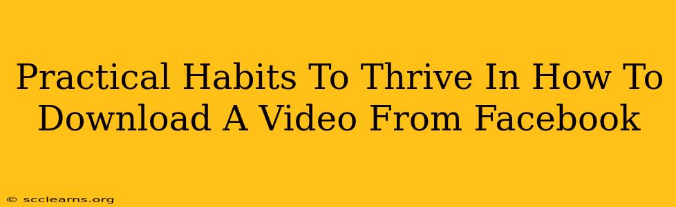 Practical Habits To Thrive In How To Download A Video From Facebook