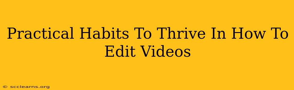 Practical Habits To Thrive In How To Edit Videos