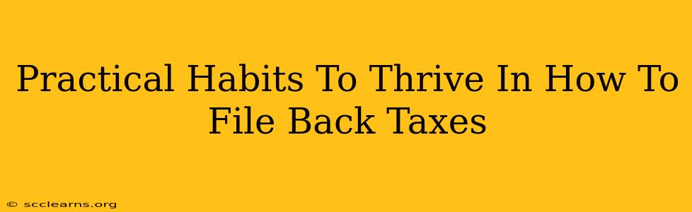 Practical Habits To Thrive In How To File Back Taxes