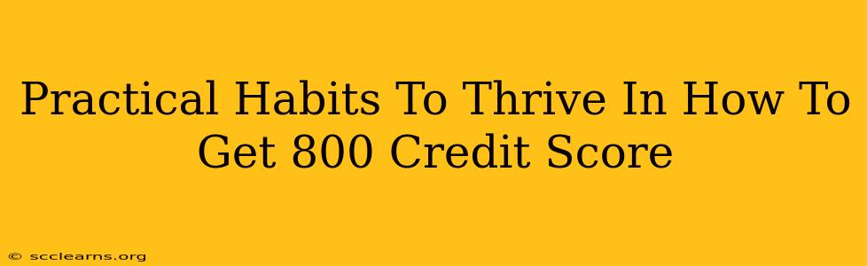 Practical Habits To Thrive In How To Get 800 Credit Score