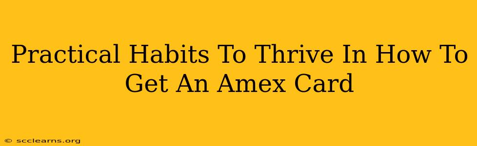 Practical Habits To Thrive In How To Get An Amex Card