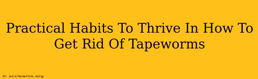 Practical Habits To Thrive In How To Get Rid Of Tapeworms