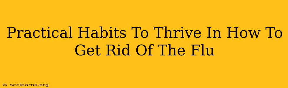 Practical Habits To Thrive In How To Get Rid Of The Flu