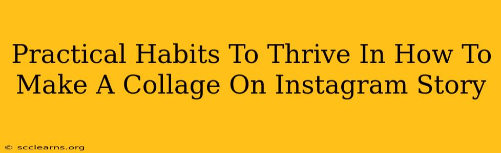 Practical Habits To Thrive In How To Make A Collage On Instagram Story