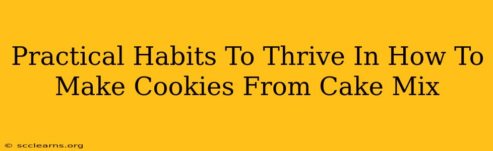 Practical Habits To Thrive In How To Make Cookies From Cake Mix