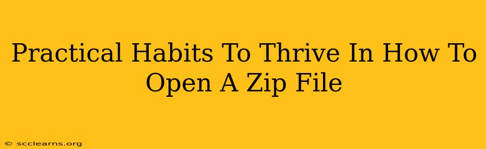 Practical Habits To Thrive In How To Open A Zip File