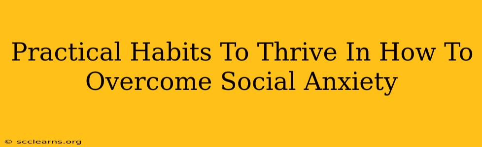 Practical Habits To Thrive In How To Overcome Social Anxiety