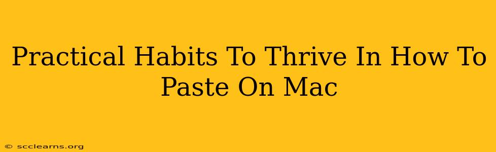 Practical Habits To Thrive In How To Paste On Mac