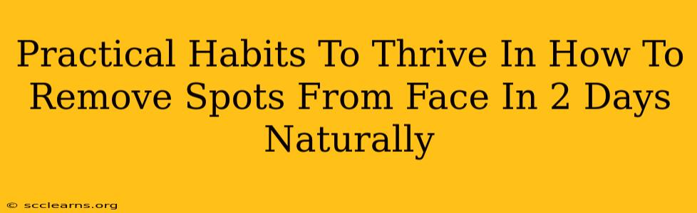 Practical Habits To Thrive In How To Remove Spots From Face In 2 Days Naturally