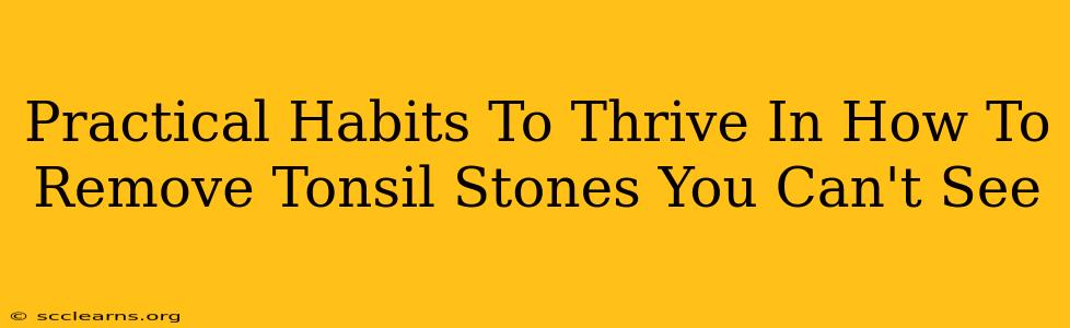 Practical Habits To Thrive In How To Remove Tonsil Stones You Can't See