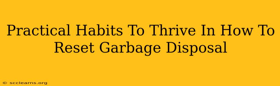 Practical Habits To Thrive In How To Reset Garbage Disposal