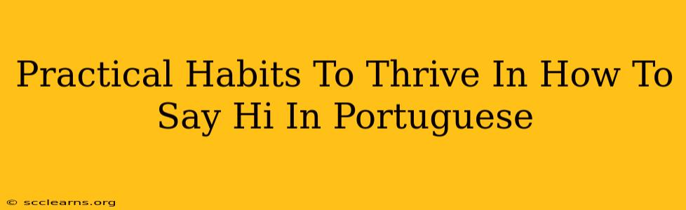 Practical Habits To Thrive In How To Say Hi In Portuguese