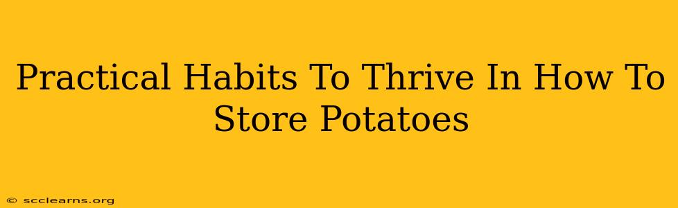 Practical Habits To Thrive In How To Store Potatoes