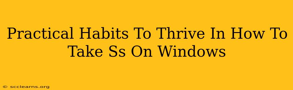 Practical Habits To Thrive In How To Take Ss On Windows