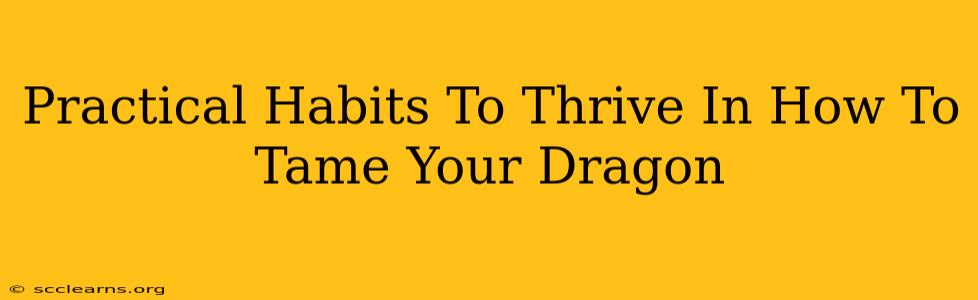 Practical Habits To Thrive In How To Tame Your Dragon