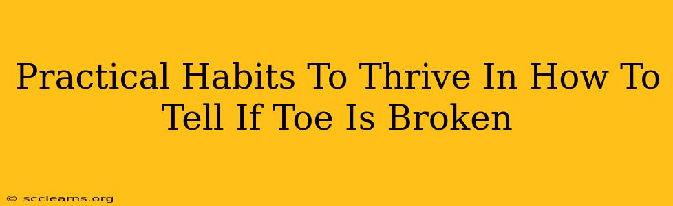 Practical Habits To Thrive In How To Tell If Toe Is Broken