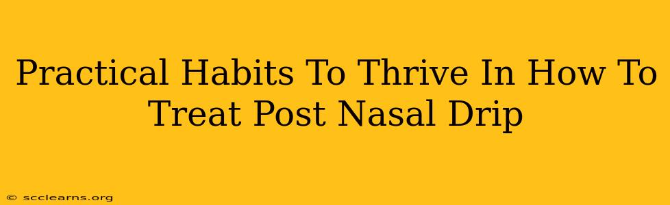 Practical Habits To Thrive In How To Treat Post Nasal Drip