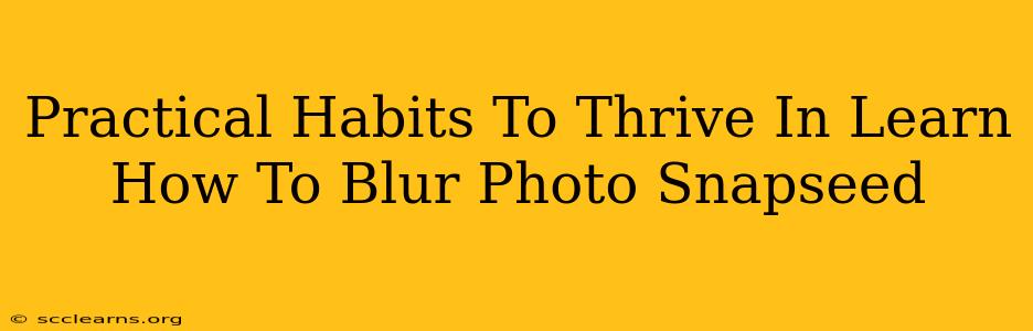 Practical Habits To Thrive In Learn How To Blur Photo Snapseed