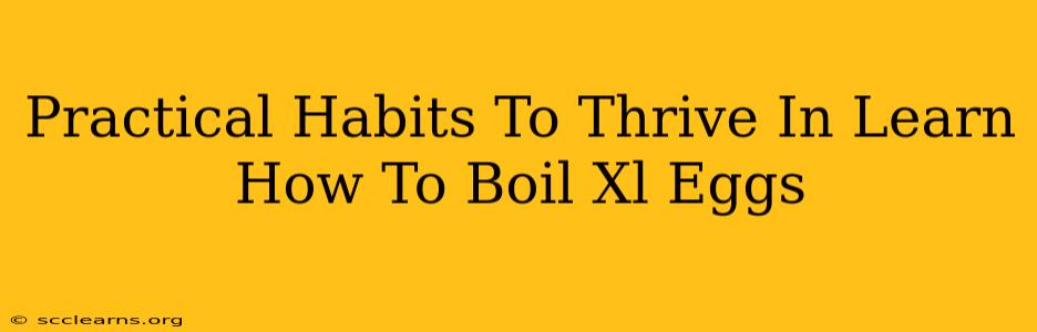 Practical Habits To Thrive In Learn How To Boil Xl Eggs