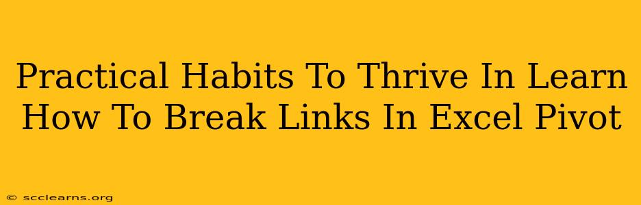 Practical Habits To Thrive In Learn How To Break Links In Excel Pivot