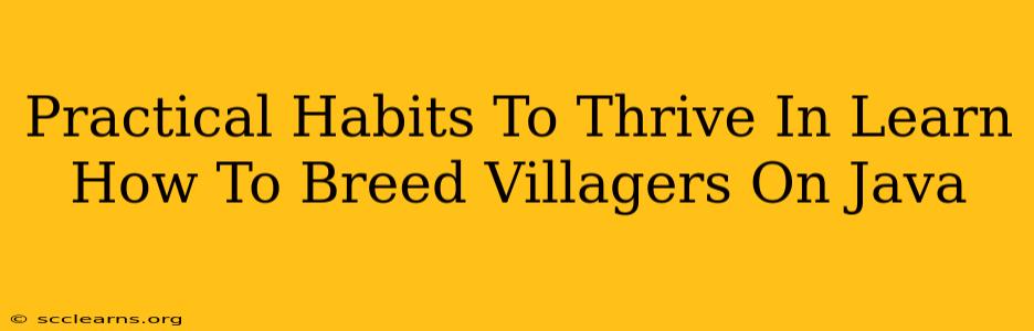 Practical Habits To Thrive In Learn How To Breed Villagers On Java