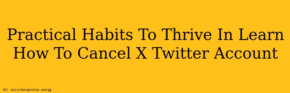 Practical Habits To Thrive In Learn How To Cancel X Twitter Account