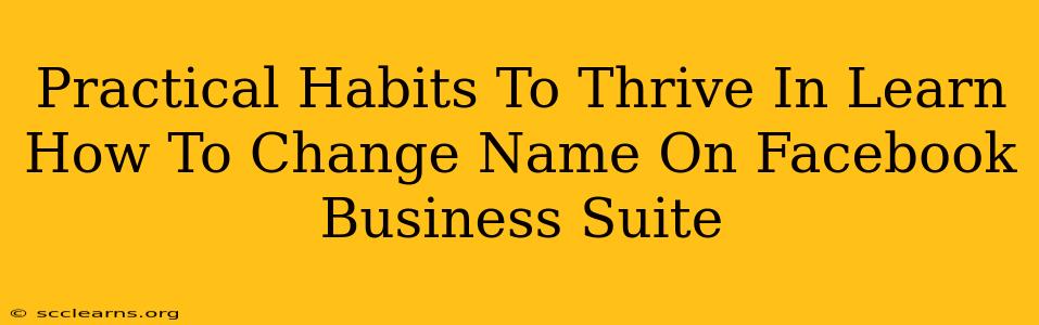 Practical Habits To Thrive In Learn How To Change Name On Facebook Business Suite