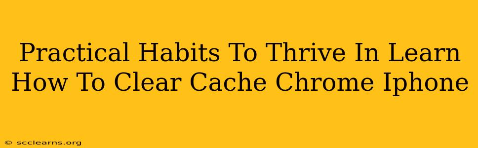 Practical Habits To Thrive In Learn How To Clear Cache Chrome Iphone