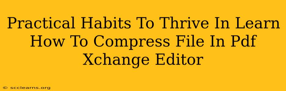 Practical Habits To Thrive In Learn How To Compress File In Pdf Xchange Editor