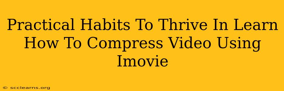 Practical Habits To Thrive In Learn How To Compress Video Using Imovie