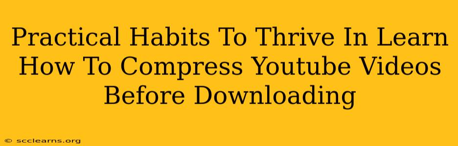 Practical Habits To Thrive In Learn How To Compress Youtube Videos Before Downloading