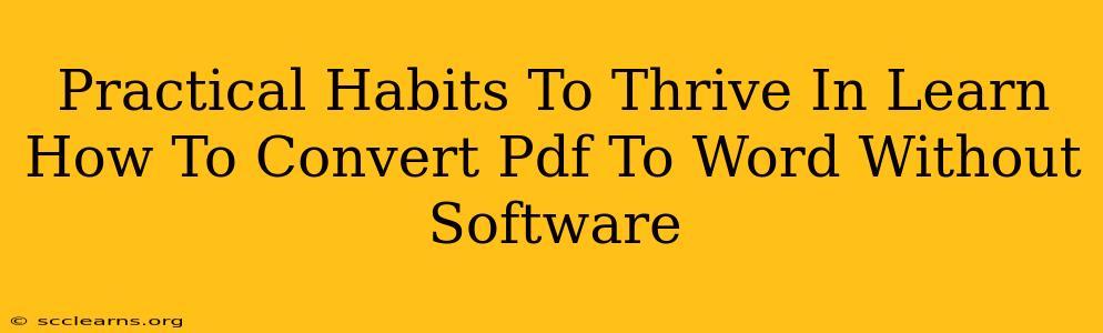 Practical Habits To Thrive In Learn How To Convert Pdf To Word Without Software