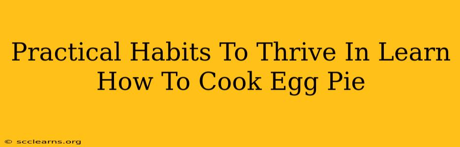 Practical Habits To Thrive In Learn How To Cook Egg Pie