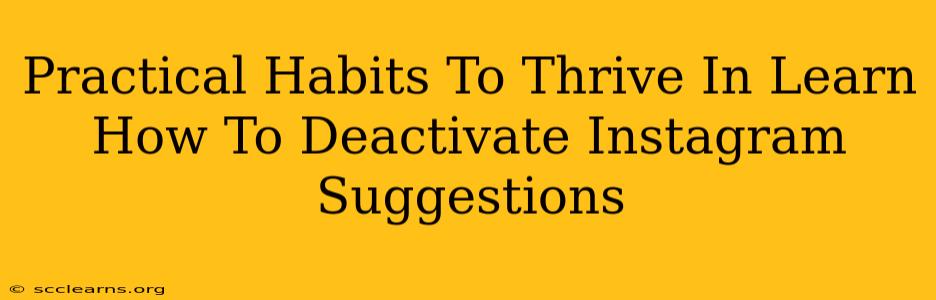 Practical Habits To Thrive In Learn How To Deactivate Instagram Suggestions