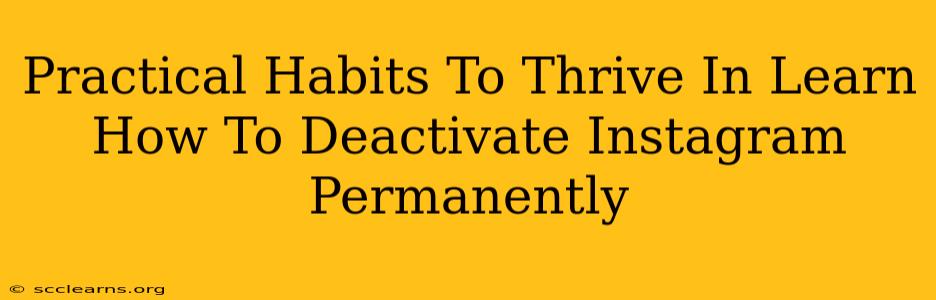 Practical Habits To Thrive In Learn How To Deactivate Instagram Permanently