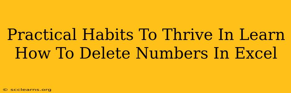 Practical Habits To Thrive In Learn How To Delete Numbers In Excel