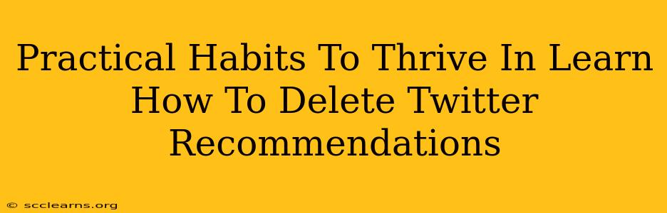 Practical Habits To Thrive In Learn How To Delete Twitter Recommendations