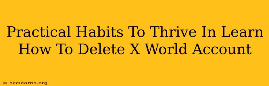 Practical Habits To Thrive In Learn How To Delete X World Account