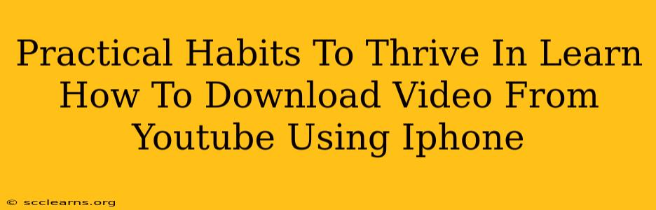 Practical Habits To Thrive In Learn How To Download Video From Youtube Using Iphone