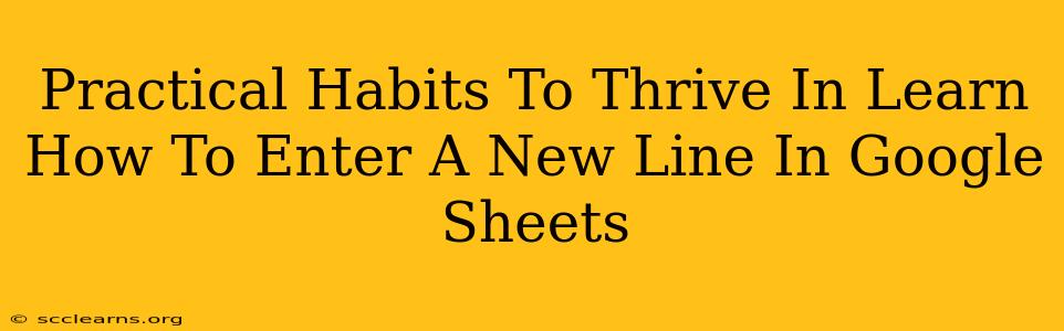 Practical Habits To Thrive In Learn How To Enter A New Line In Google Sheets