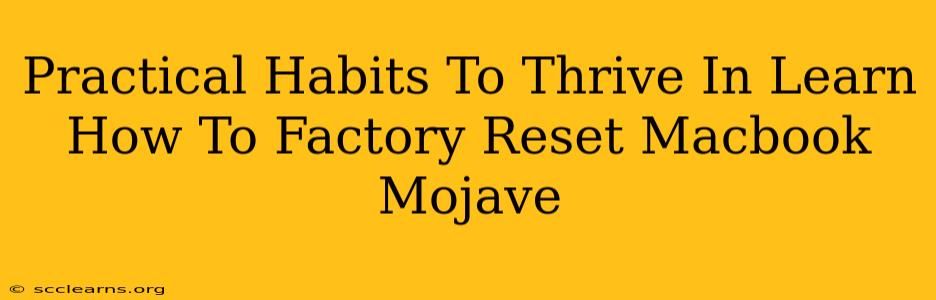 Practical Habits To Thrive In Learn How To Factory Reset Macbook Mojave